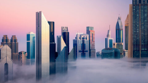 Tax Consultant Services Dubai – 2024 Comprehensive Guide